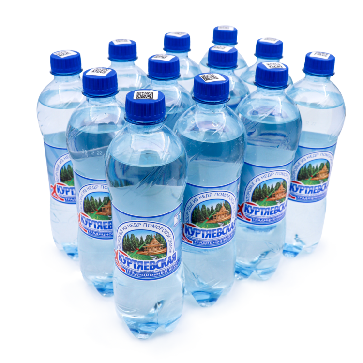 Артезианская минеральная вода газированная питьевая лечебно-столовая Куртяевская К-1, 0,6л *12 шт
