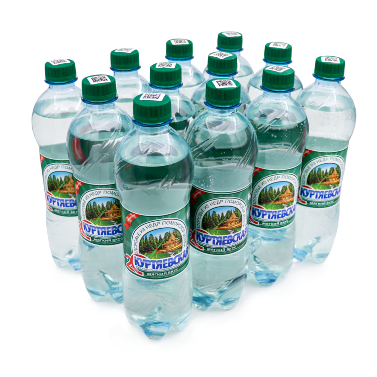 Артезианская минеральная вода газированная питьевая лечебно-столовая Куртяевская К2 0,6л *12шт